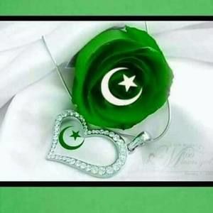 Meet your Posher, Ambreen